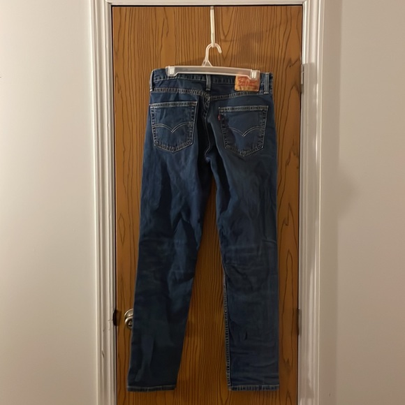 Levi - Picture 2 of 2